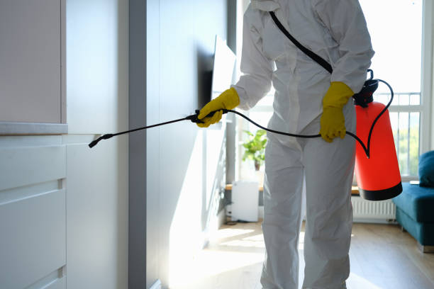 Best Residential Mold Removal  in Newell, WV